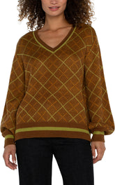 Long Sleeve V-Neck Sweater