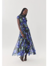 Zippy Mesh Dress