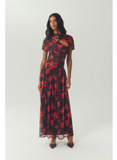 Pasha Mesh Dress