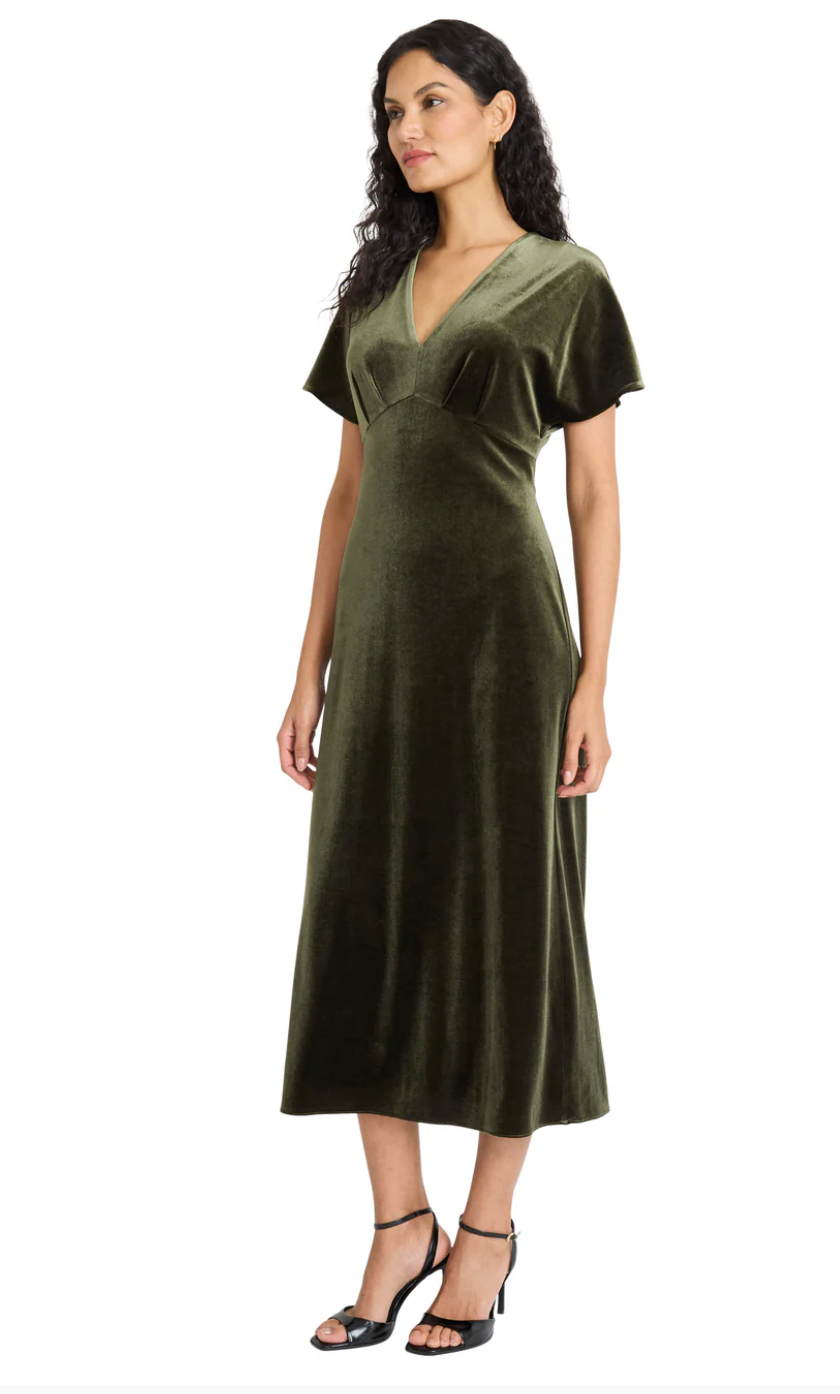 Aneesa Velvet Midi Dress