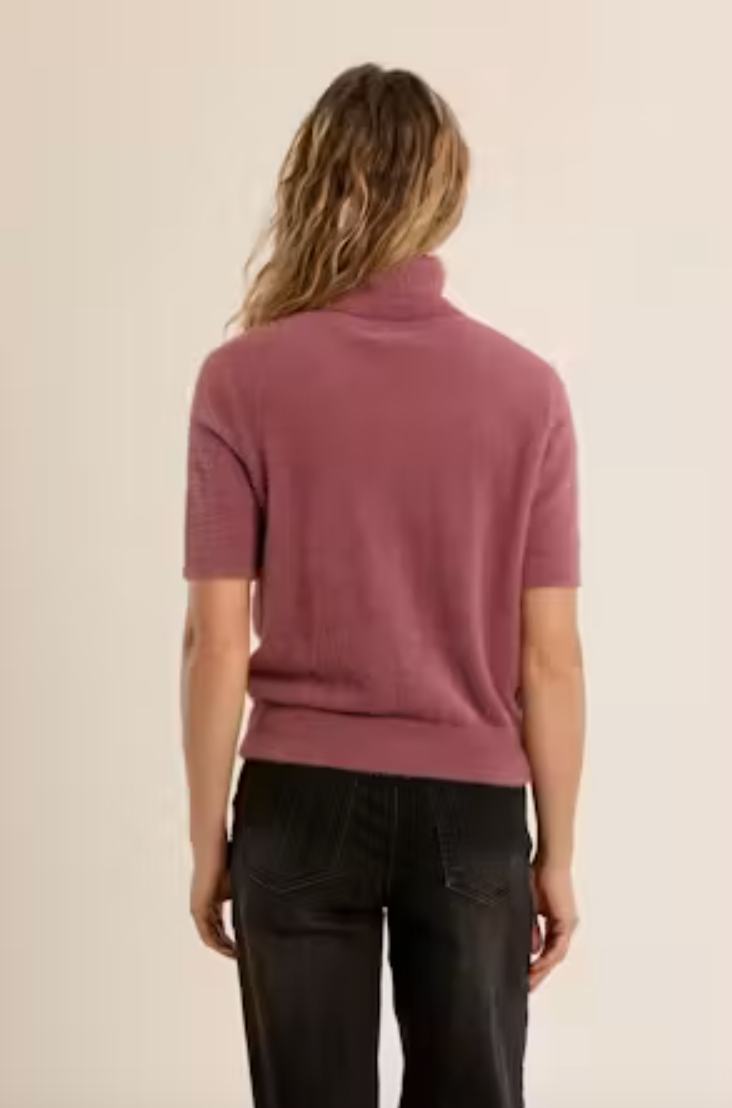 Short Sleeve Turtleneck Sweater