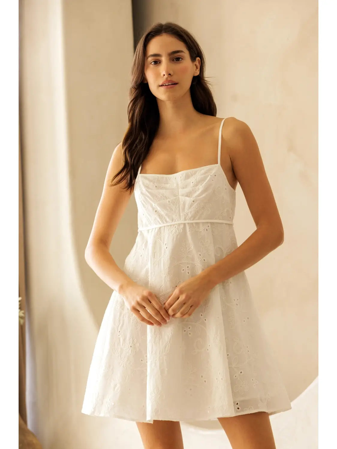 Embroidered A-Line Mini Dress