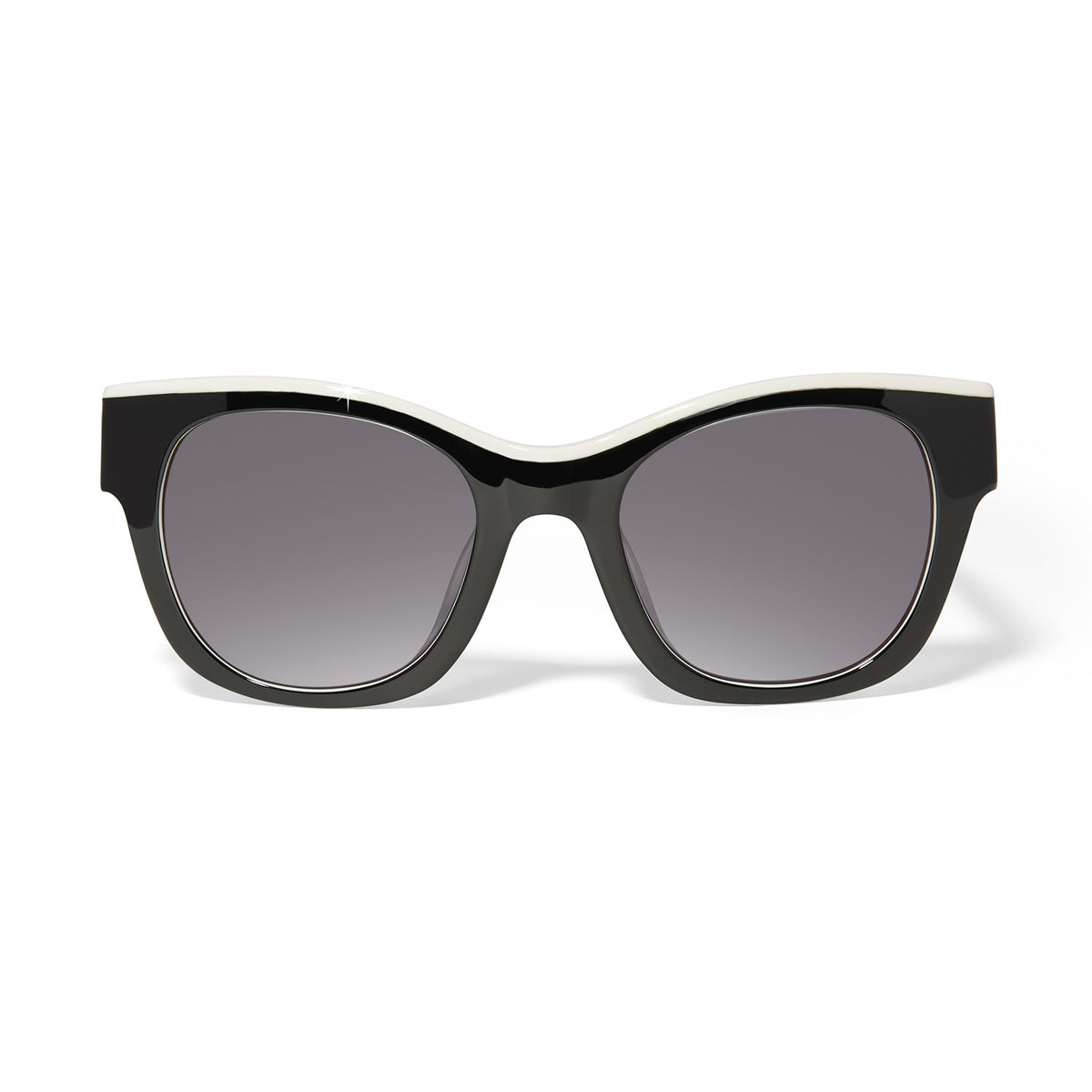 Contempo Medallion Dual Tone Sunglasses